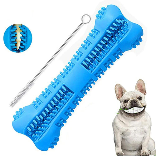 Dog Toothbrush Chew Toy – Dental Cleaning Toy for Small & Large Dogs 🦴🐶