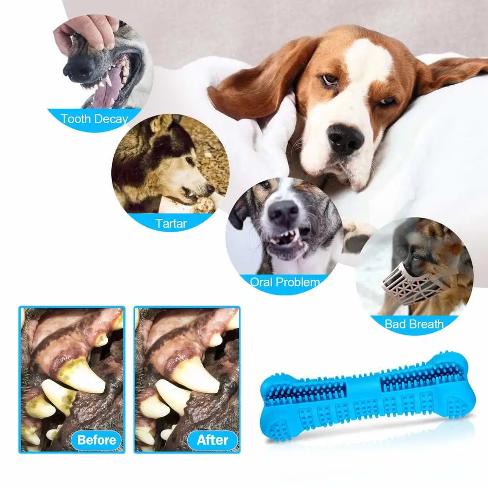 Dog Toothbrush Chew Toy – Dental Cleaning Toy for Small & Large Dogs 🦴🐶