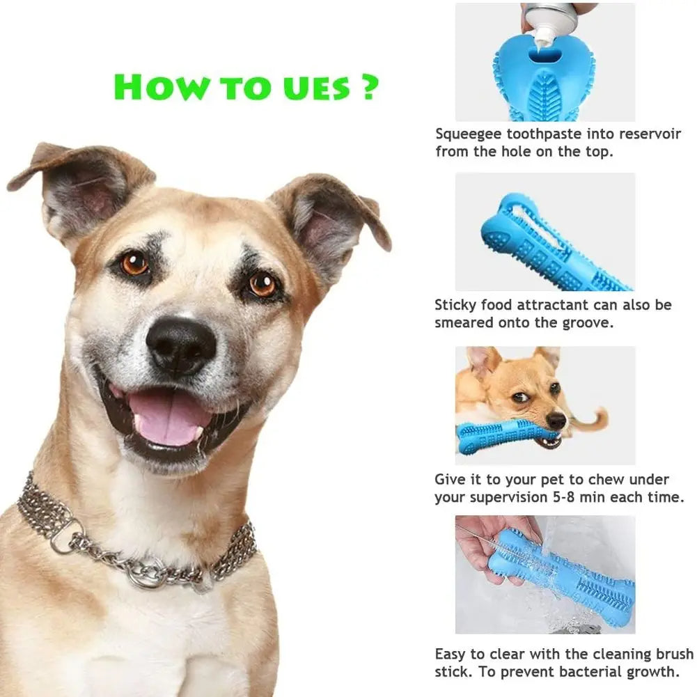 Dog Toothbrush Chew Toy – Dental Cleaning Toy for Small & Large Dogs 🦴🐶